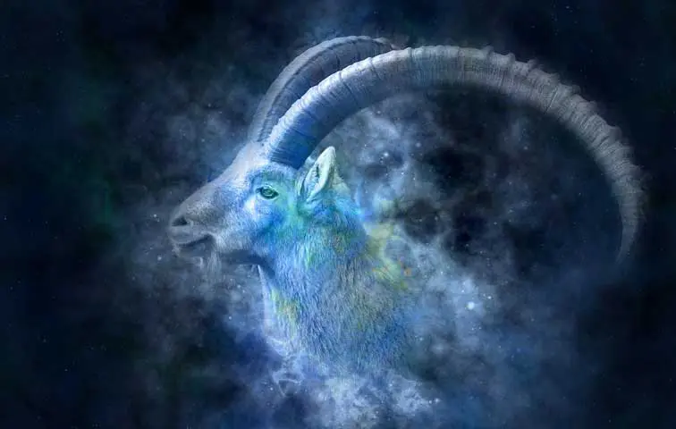 Capricorne, Votre horoscope amoureux de l’année 2020