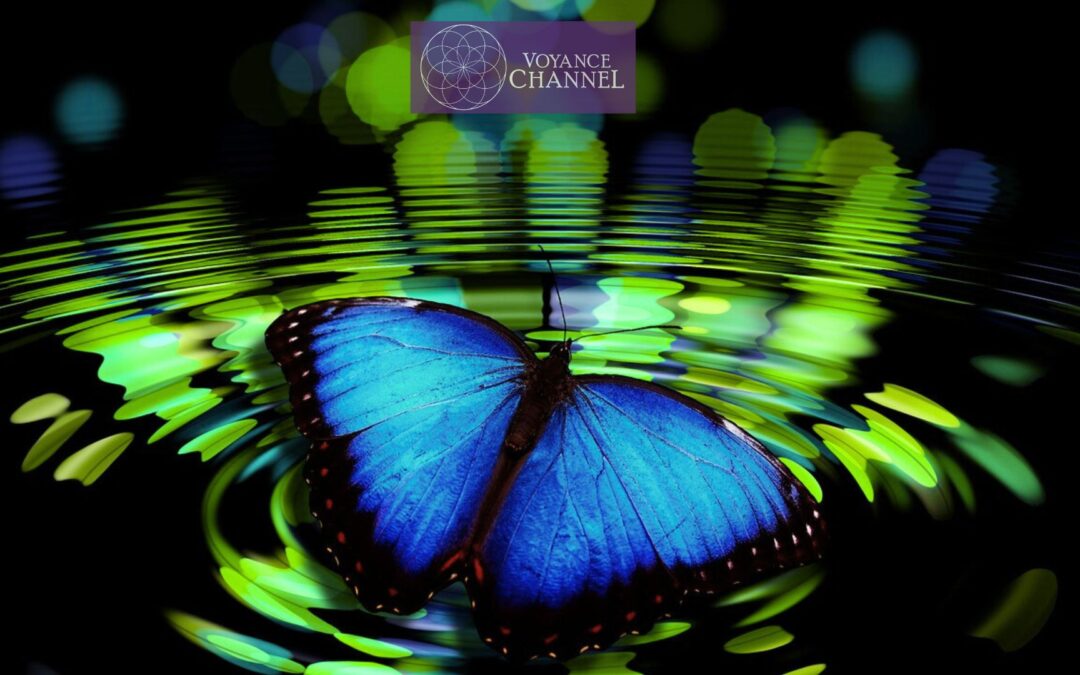 synchronicites-signification