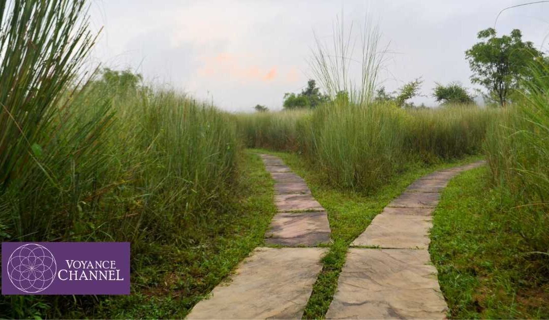 Chemin qui se sépare, symbole du libre arbitre en voyance